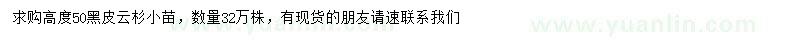求購高50公分黑皮云杉