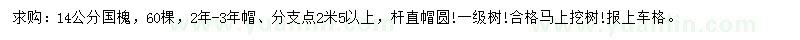 求購14公分國槐