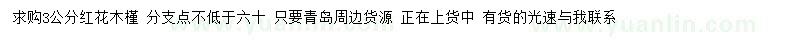 求購(gòu)3公分紅花木槿