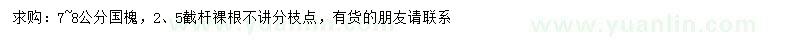 求購7-8公分國槐