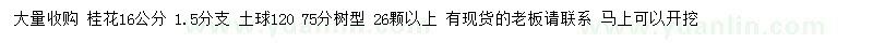 求購16公分桂花