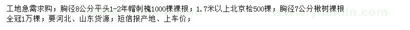 求購刺槐、北京檜、楸樹