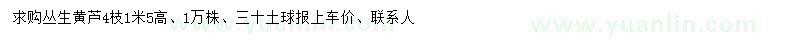 求購(gòu)高1.5米黃蘆