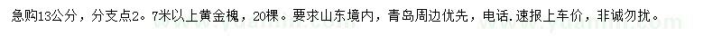 求購(gòu)13公分黃金槐