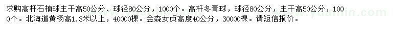 求購高桿石楠球、金森女貞、北海道黃楊
