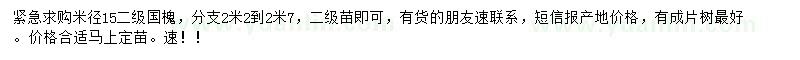 求購米徑15公分國槐