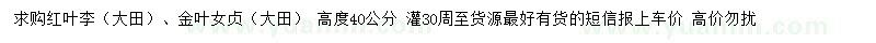 求購(gòu)高40公分紅葉李、金葉女貞