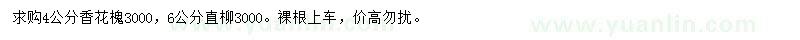 求購4公分香花槐、6公分直柳