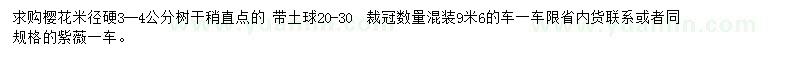 求購米徑3-4公分櫻花
