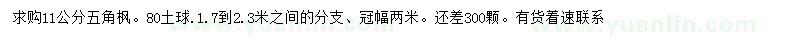 求購11公分五角楓