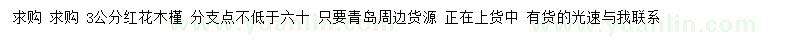 求購3公分紅花木槿