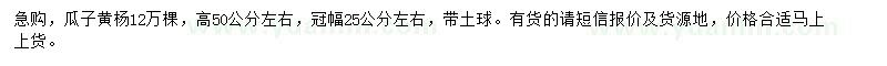 求購冠幅25公分左右瓜子黃楊
