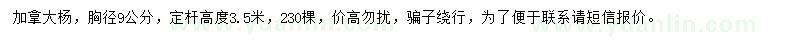 求購胸徑9公分加拿大楊