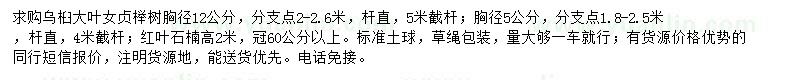 求購烏桕、大葉女貞、櫸樹等