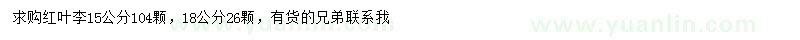 求購15、18公分紅葉李
