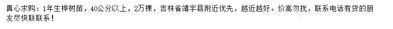 求購40公分以上樺樹苗