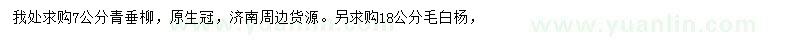 求購7公分青垂柳