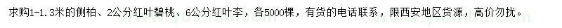 求購側(cè)柏、紅葉碧桃、紅葉李