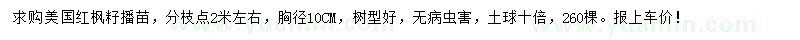 求購胸徑10公分美國紅楓