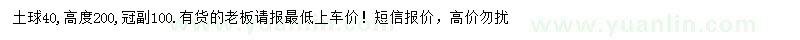 求購地徑4公分紫荊