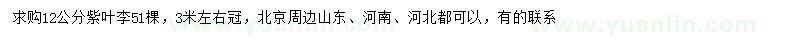 求購(gòu)12公分紫葉李