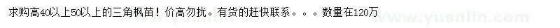求購(gòu)高40公分以上三角楓小苗