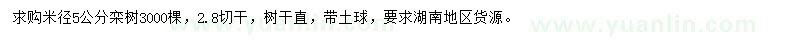 求購米徑5公分欒樹