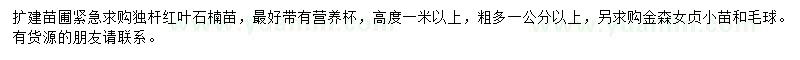 求購紅葉石楠、金森女貞小苗、金森女貞球
