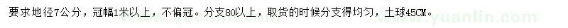 求購地徑7公分桂花