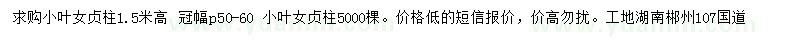 求購高1.5米小葉女貞柱