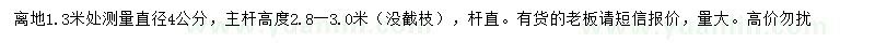 求購(gòu)1.3米處量4公分國(guó)槐