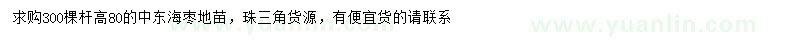 求購高80公分中東海棗