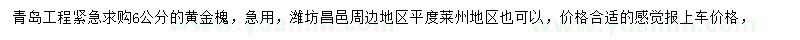 求購(gòu)6公分黃金槐