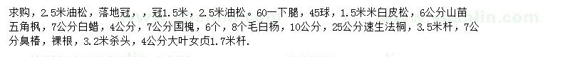 求購油松、白皮松、五角楓等
