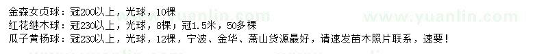 求購金森女貞球、紅花繼木球、瓜子黃楊球