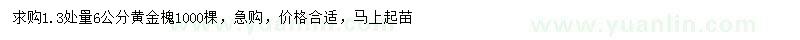 求購(gòu)1.3處量6公分黃金槐