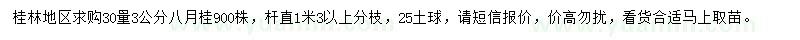 求購30處量3公分八月桂