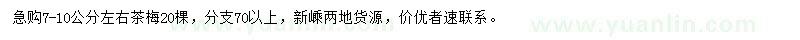 求購(gòu)7-10公分左右茶梅