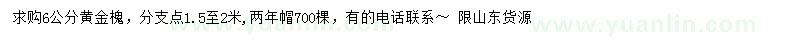 求購6公分黃金槐