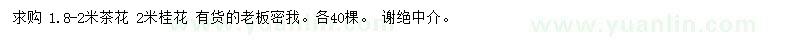求購1.8-2米茶花、2米桂花