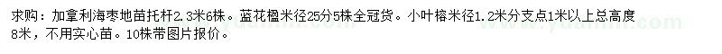 求購加拿利海棗、藍(lán)花楹、小葉榕