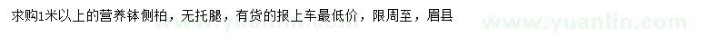 求購1米以上側(cè)柏