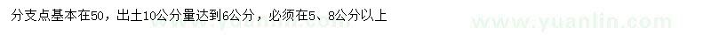 求購10公分處量6公分西府海棠