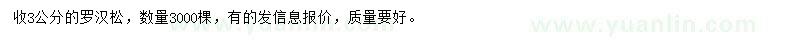 求購3公分羅漢松
