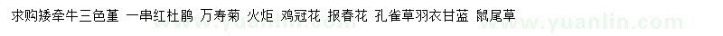 求購(gòu)矮牽牛、三色堇、一串紅等