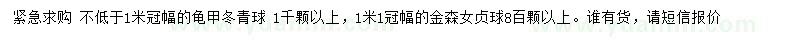 求購(gòu)冠幅1米以上龜甲冬青球、1.1米金森女貞球