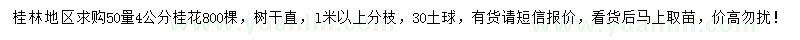求購50處量4公分桂花