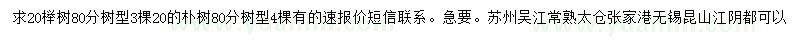 求購20公分櫸樹、樸樹