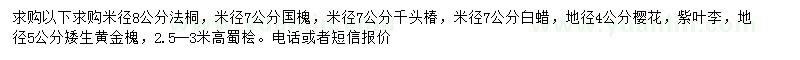 求購法桐、國槐、千頭椿等