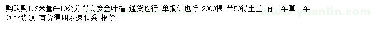 求購1.3米處量6-10公分高接金葉榆